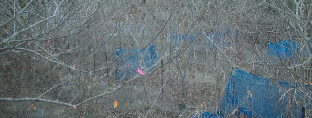 Jan 20 2026 16:13:48, #01