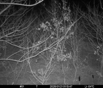 Jan 21 2026  1:13:47, #01