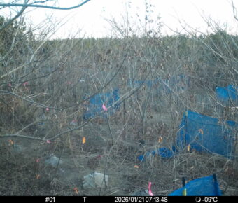 Jan 21 2026  7:13:48, #01