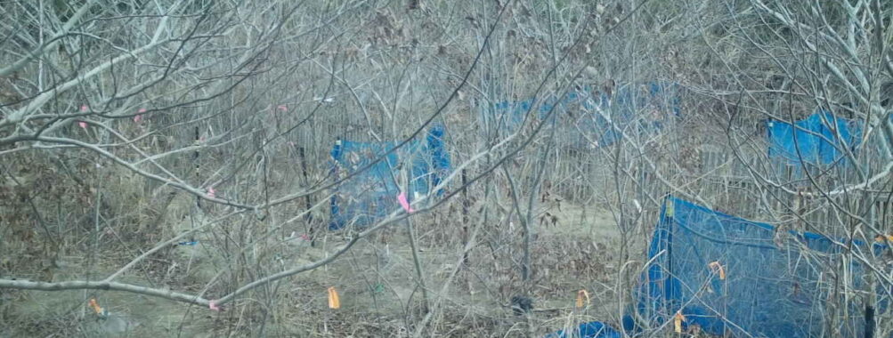 Jan 21 2026 10:13:48, #01