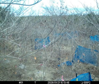 Jan 21 2026 10:13:48, #01