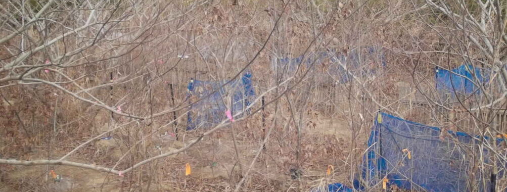 Jan 21 2026 13:13:48, #01