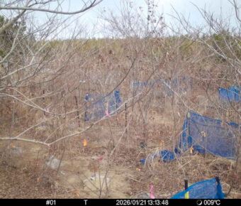 Jan 21 2026 13:13:48, #01