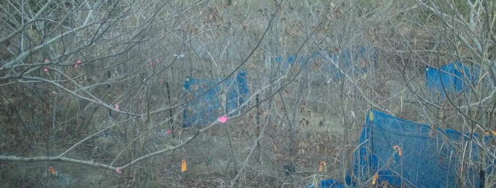 Jan 21 2026 16:13:48, #01