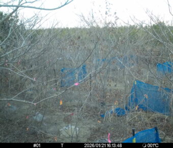 Jan 21 2026 16:13:48, #01