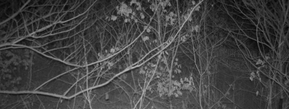 Jan 21 2026 19:13:46, #01