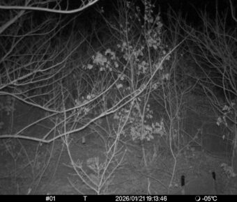 Jan 21 2026 19:13:46, #01