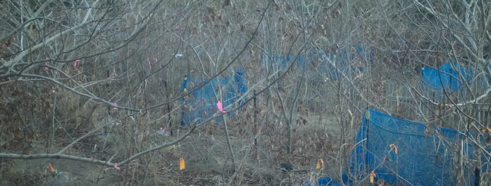 Jan 22 2026  7:13:48, #01