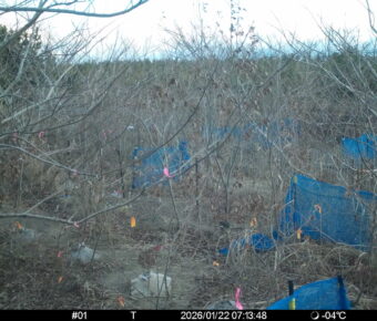 Jan 22 2026  7:13:48, #01