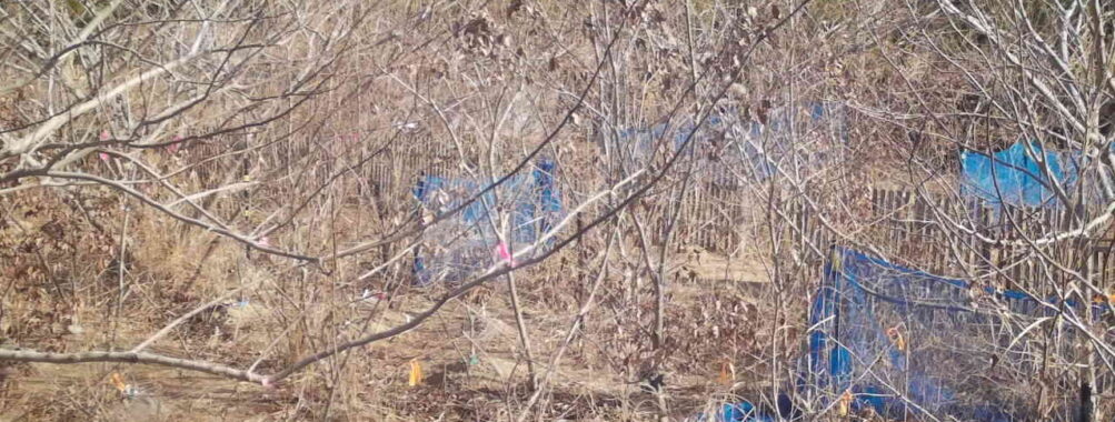 Jan 22 2026 10:13:47, #01