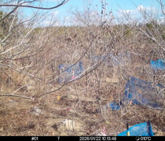 Jan 22 2026 10:13:47, #01