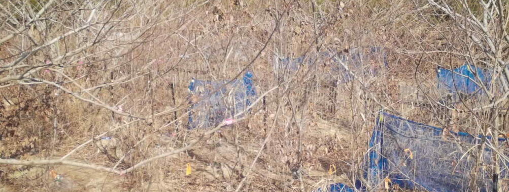 Jan 22 2026 13:13:46, #01