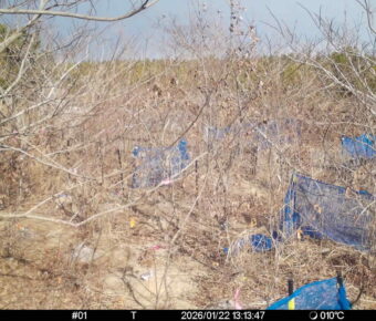 Jan 22 2026 13:13:46, #01