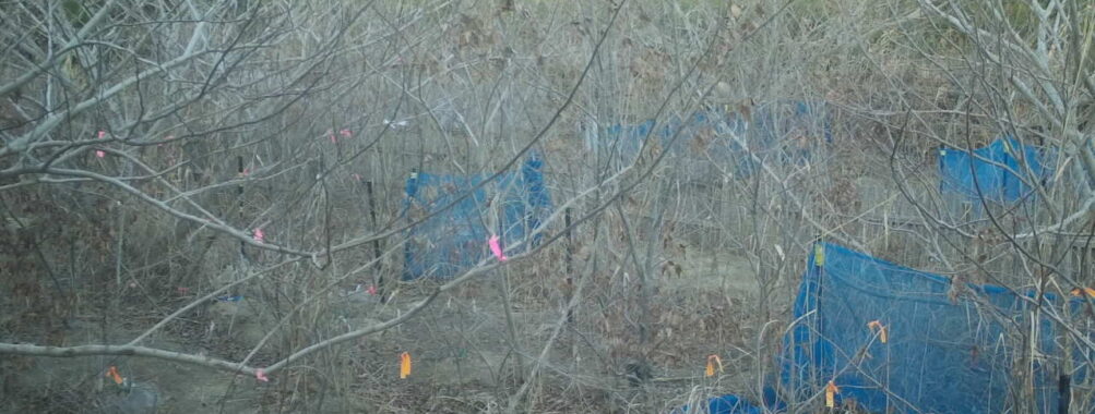 Jan 22 2026 16:13:48, #01