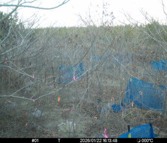 Jan 22 2026 16:13:48, #01