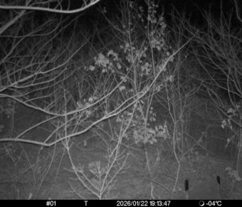 Jan 22 2026 19:13:47, #01