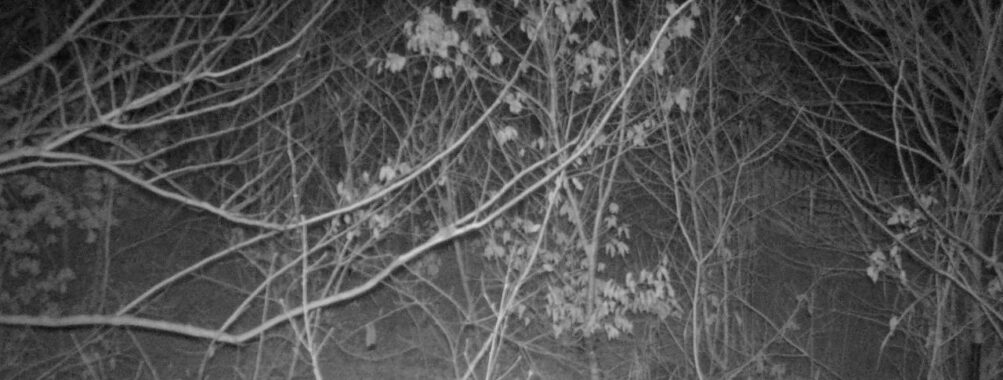 Jan 23 2026  4:13:47, #01