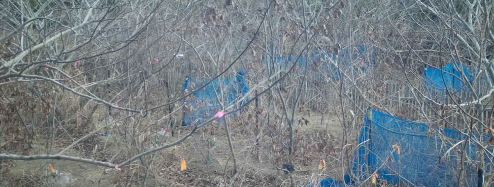 Jan 23 2026  7:13:48, #01