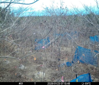 Jan 23 2026  7:13:48, #01