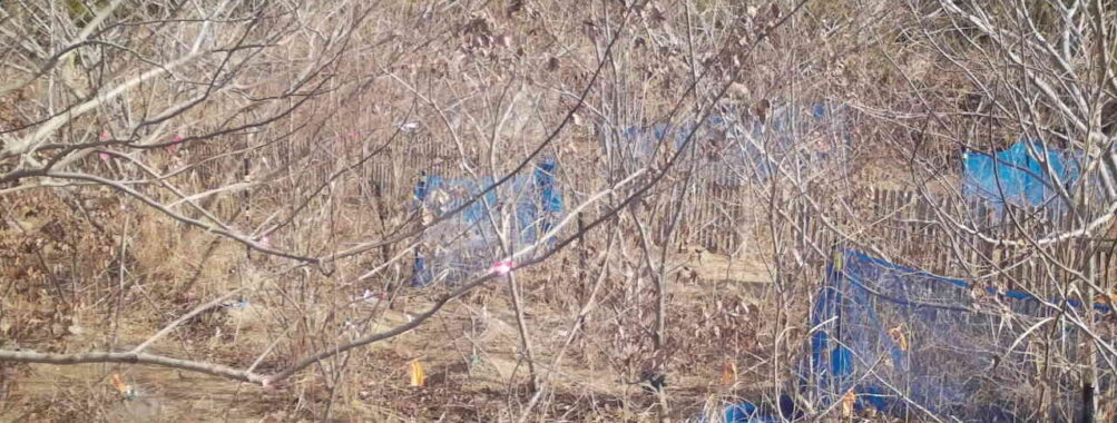 Jan 23 2026 10:13:48, #01