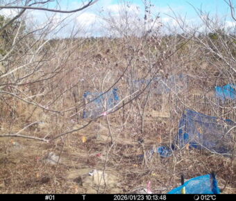 Jan 23 2026 10:13:48, #01