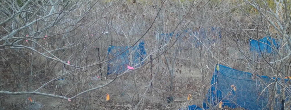 Jan 23 2026 16:13:48, #01