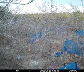 Jan 23 2026 16:13:48, #01