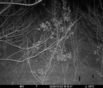 Jan 23 2026 19:13:47, #01