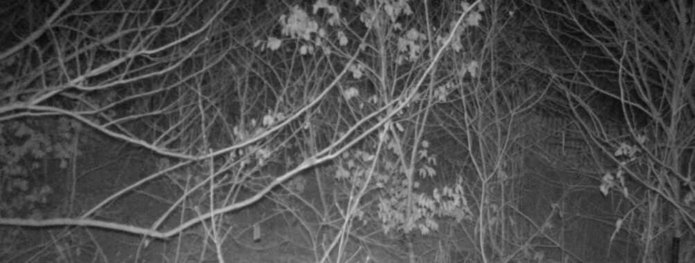 Jan 24 2026  4:13:47, #01