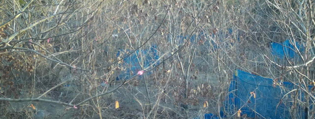 Jan 24 2026  7:13:47, #01