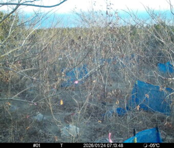 Jan 24 2026  7:13:47, #01