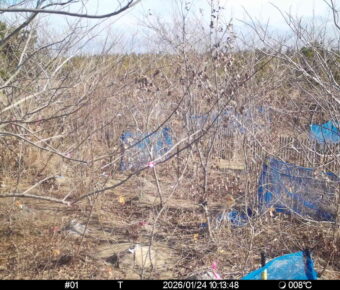 Jan 24 2026 10:13:48, #01