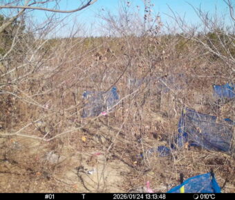 Jan 24 2026 13:13:48, #01