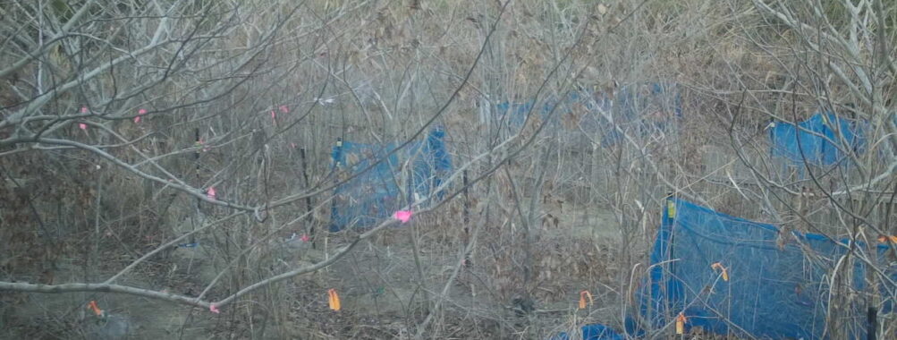 Jan 24 2026 16:13:47, #01