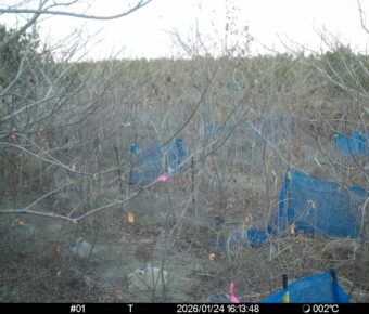 Jan 24 2026 16:13:47, #01