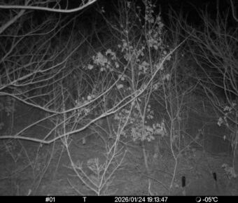 Jan 24 2026 19:13:47, #01