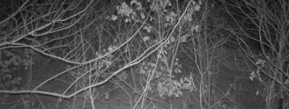 Jan 25 2026  1:13:47, #01