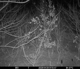 Jan 25 2026  1:13:47, #01