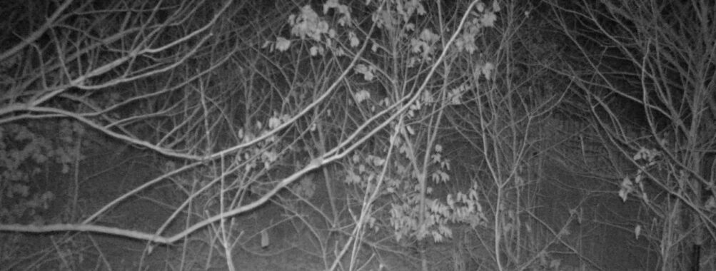 Jan 25 2026  4:13:47, #01