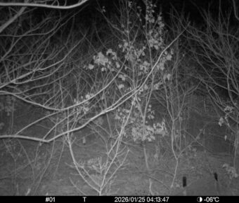 Jan 25 2026  4:13:47, #01