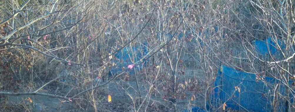 Jan 25 2026  7:13:48, #01