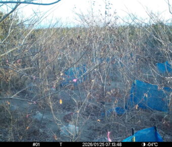 Jan 25 2026  7:13:48, #01