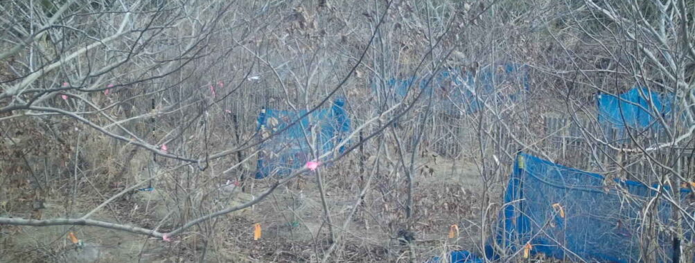 Jan 25 2026 10:13:48, #01