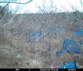 Jan 25 2026 10:13:48, #01