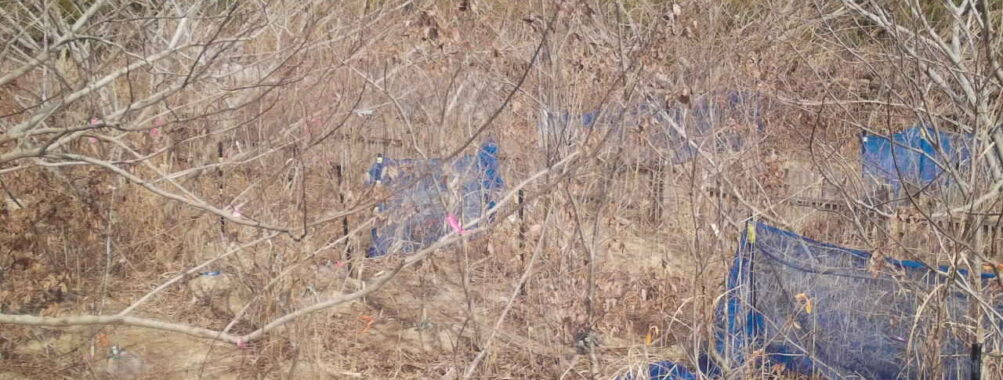 Jan 25 2026 13:13:48, #01