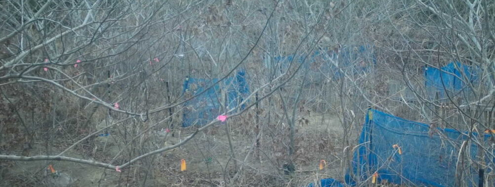 Jan 25 2026 16:13:48, #01