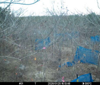 Jan 25 2026 16:13:48, #01