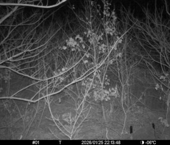 Jan 25 2026 22:13:48, #01