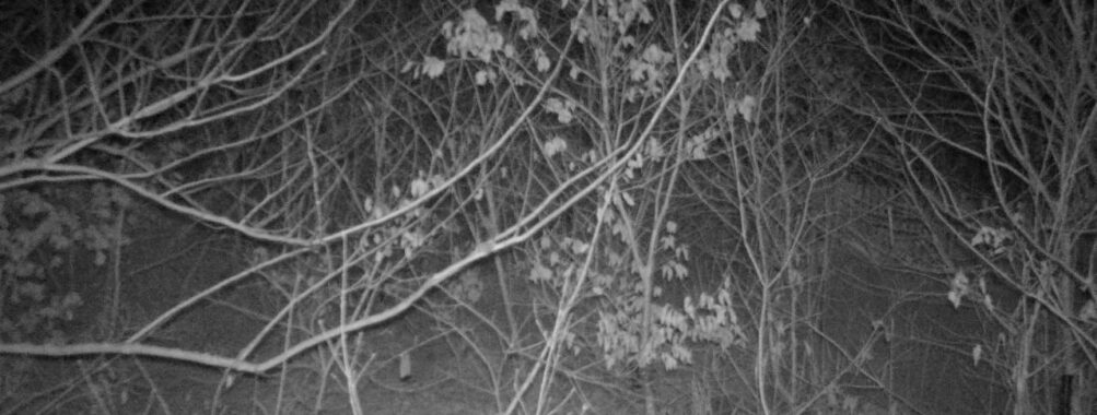 Jan 26 2026  1:13:47, #01