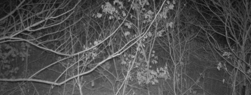 Jan 26 2026  4:13:47, #01